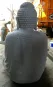 morepic-5